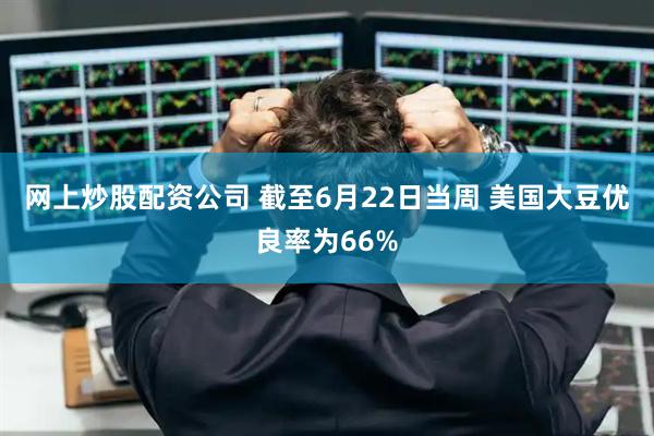 网上炒股配资公司 截至6月22日当周 美国大豆优良率为66%