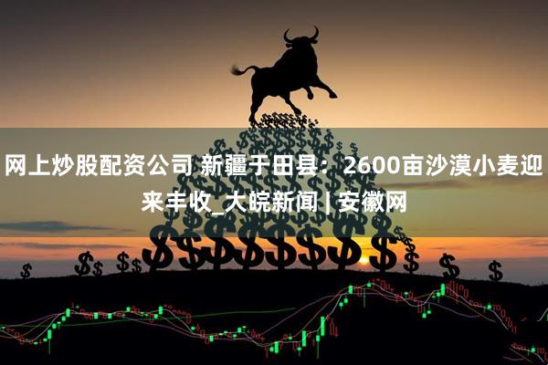 网上炒股配资公司 新疆于田县：2600亩沙漠小麦迎来丰收_大皖新闻 | 安徽网